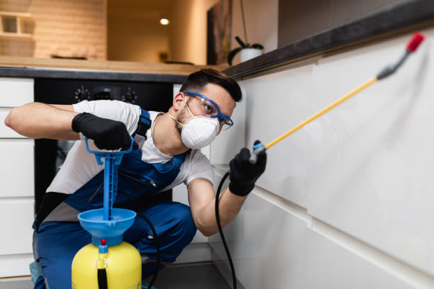  Cass City, MI Pest Control Pros