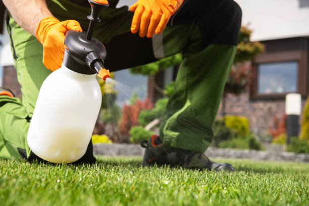 Best Cockroach Control Services  in Cass City, MI