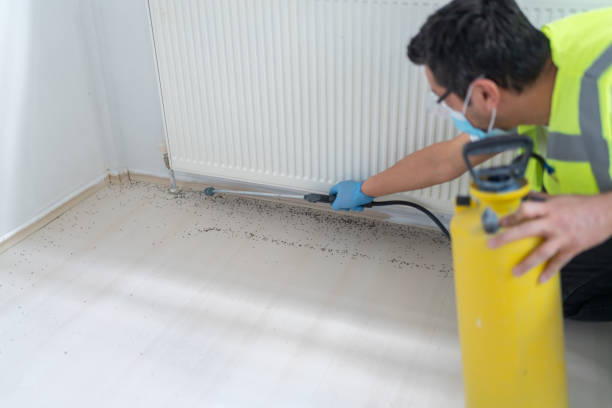 Best Pest Prevention Services  in Cass City, MI
